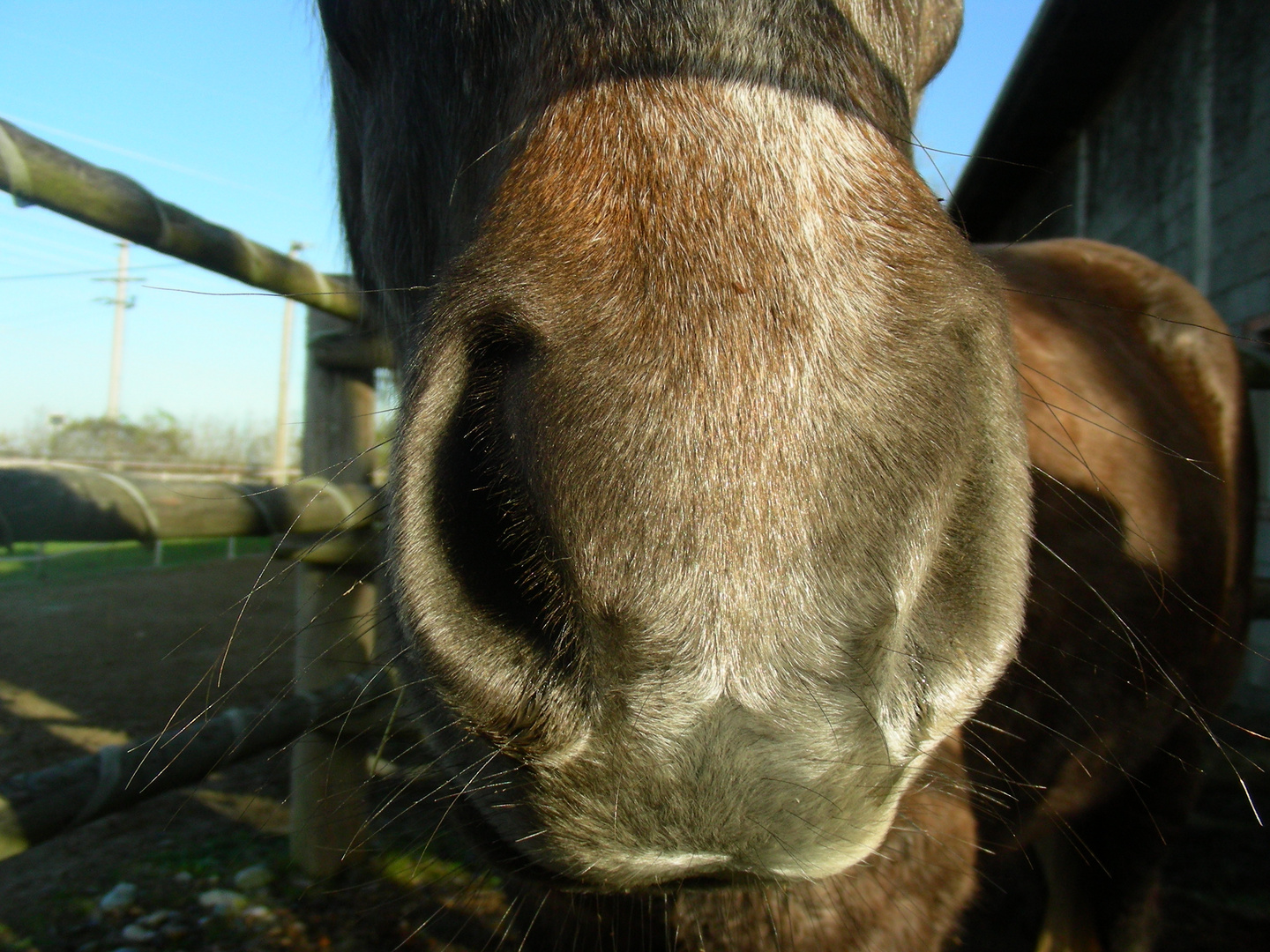 Wo bleibt der Zucker