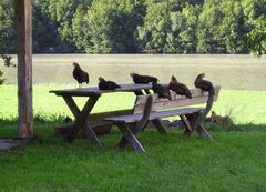 Wo bleibt die Brotzeit?