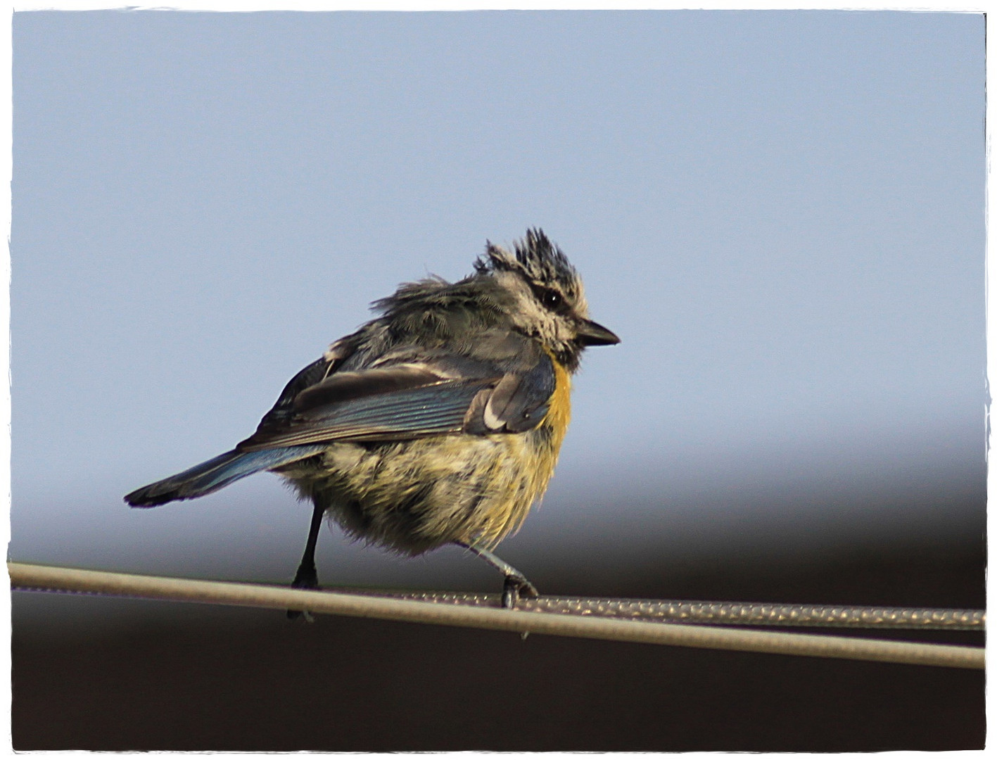 " WO bleibt die Sonne ?"