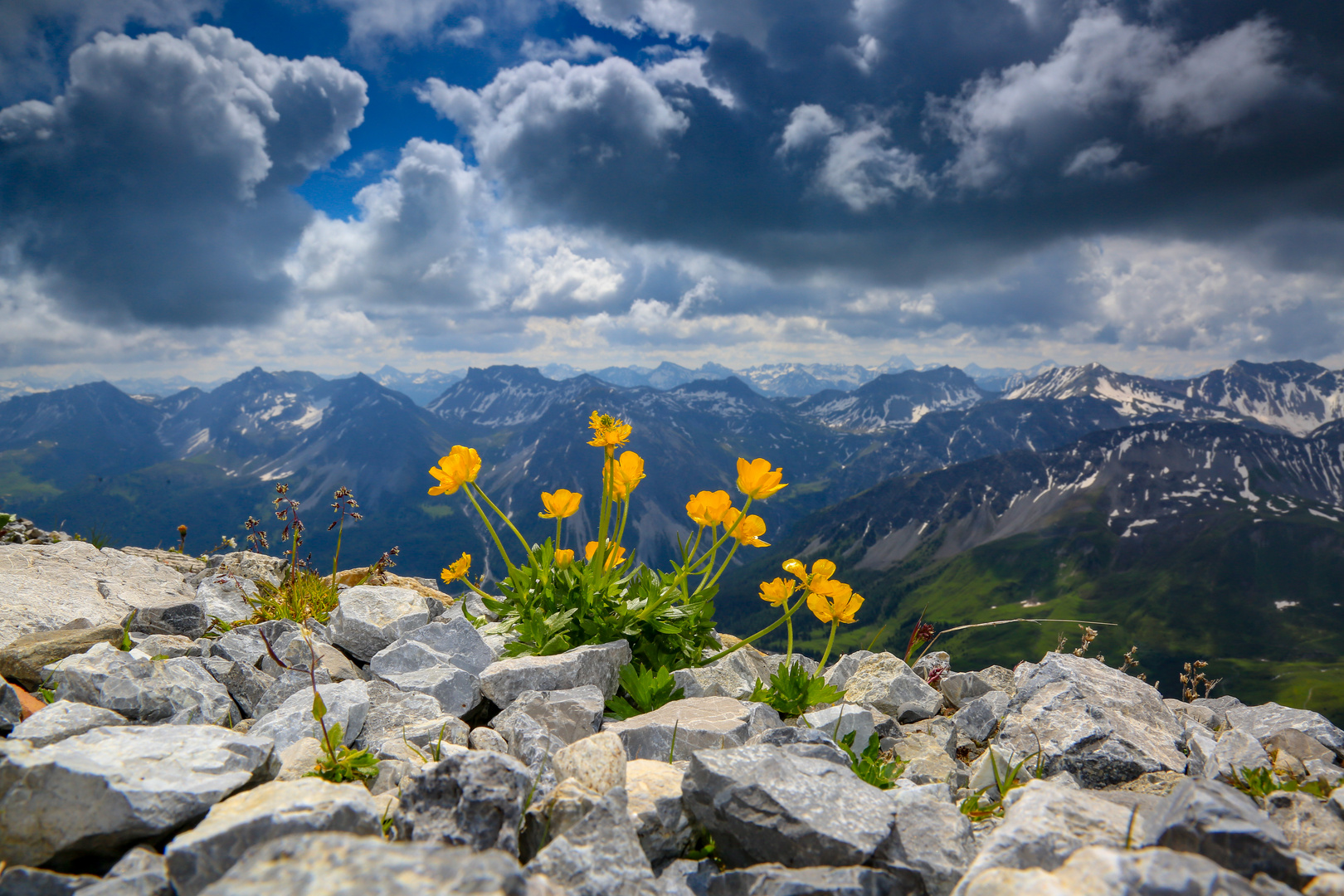 wo bleibt die Sonne Foto & Bild landschaft, berge, flower Bilder auf