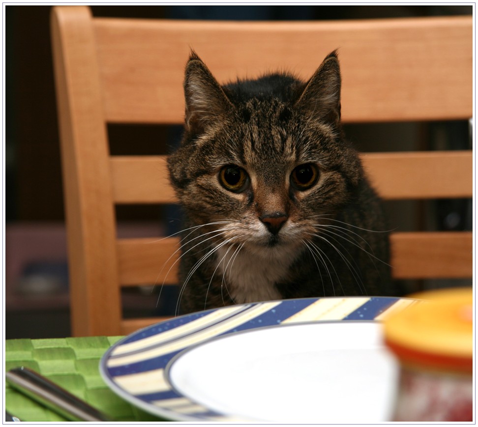 Wo bleibt mein Essen?