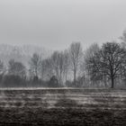 Wo bleibt nur der Frühling?