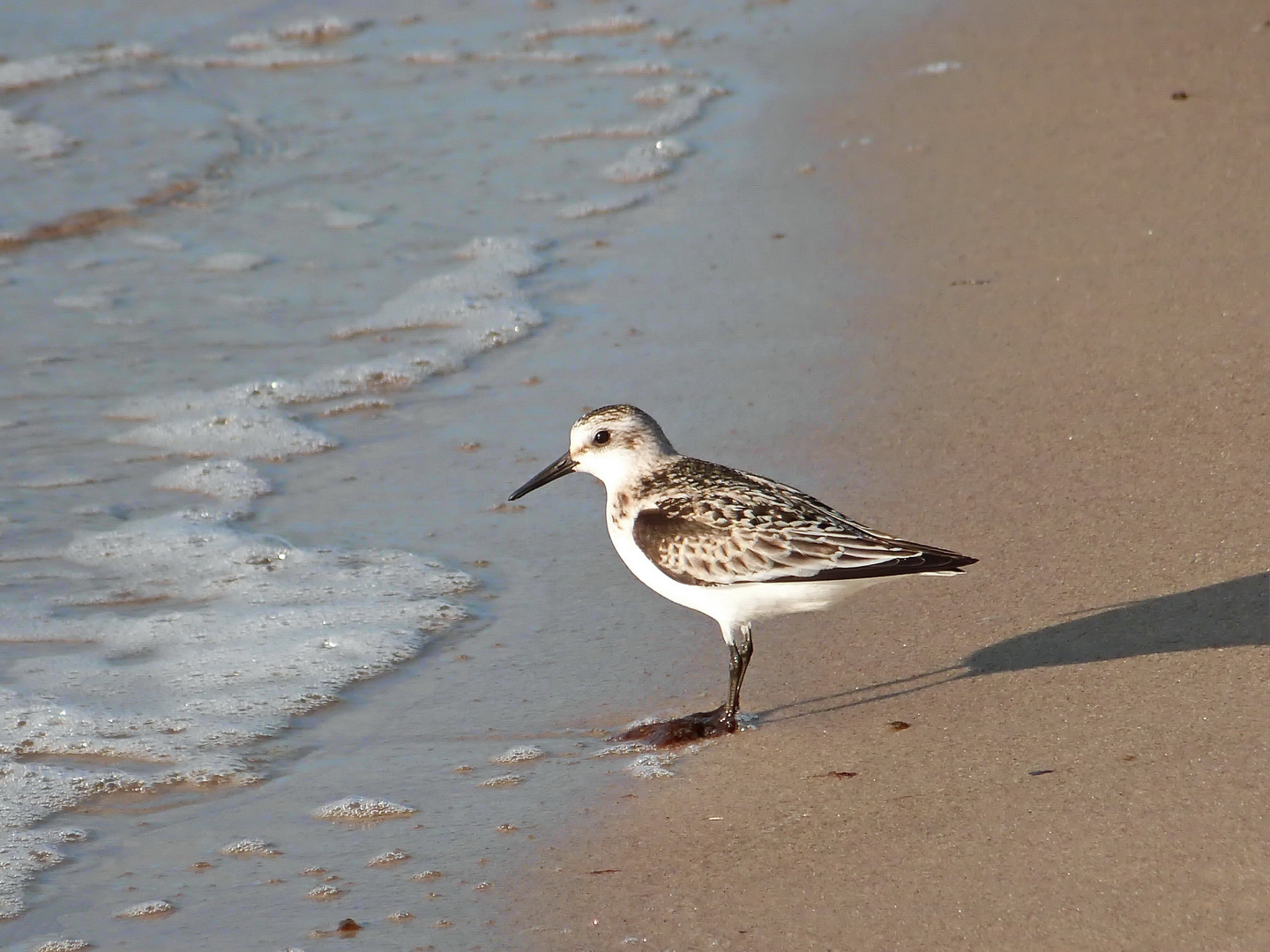 Wo de Ostseewellen trecken …