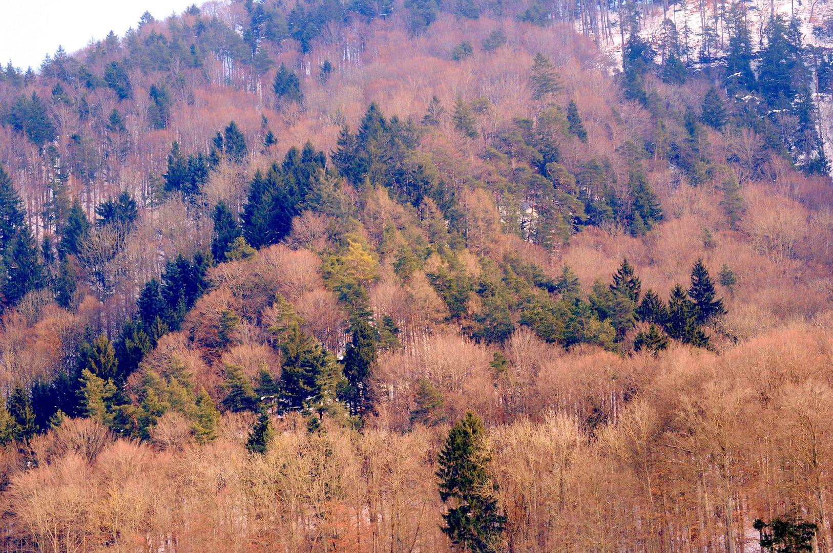 Wo der Frühling wartet