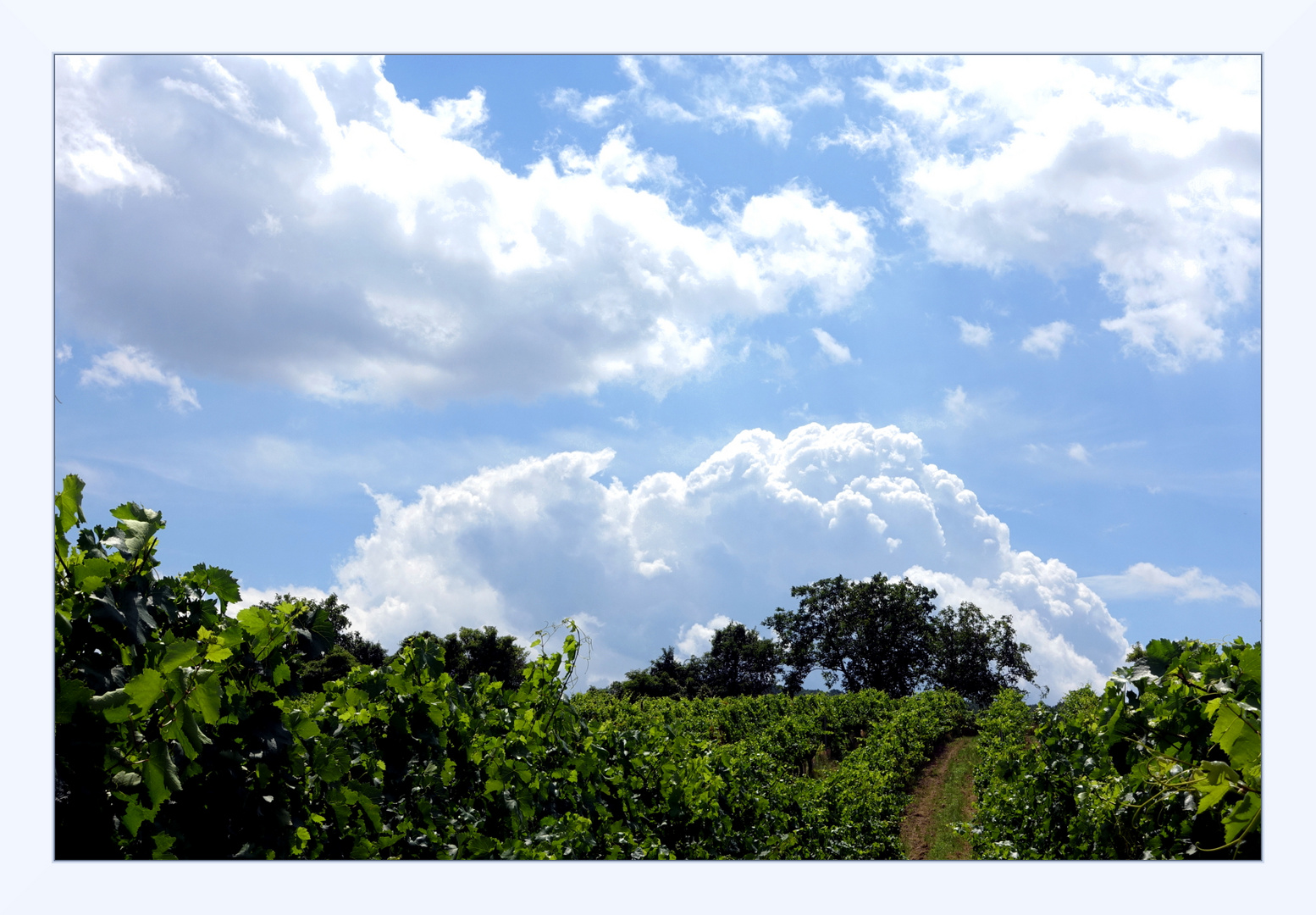 Wo der Himmel die Erde berührt ...