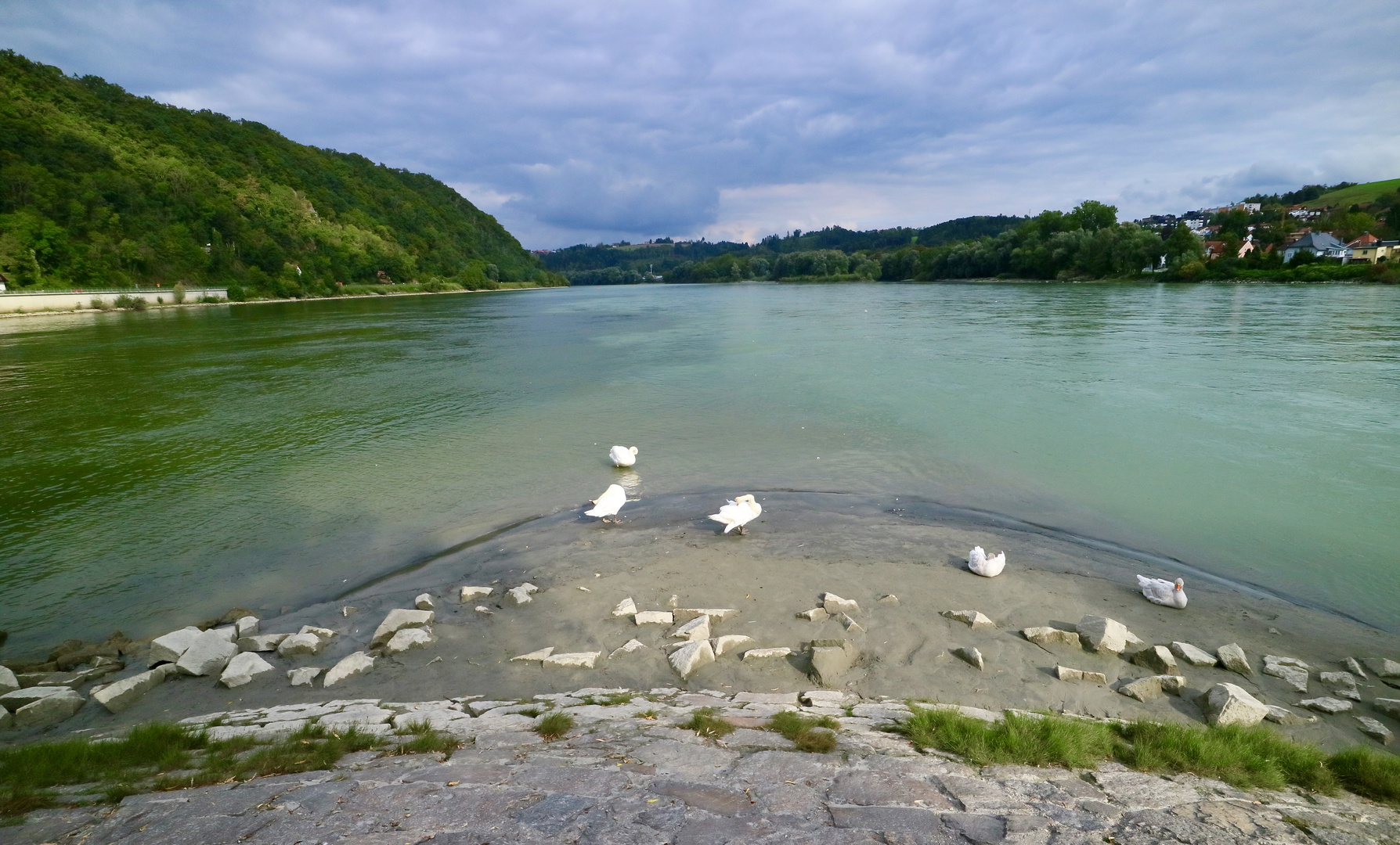 Wo der Inn auf die Donau trifft