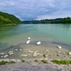 Wo der Inn auf die Donau trifft