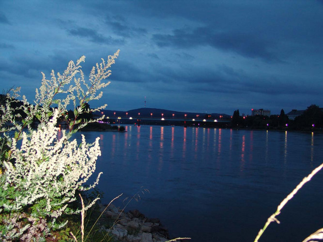 Wo der Rhein am Schönsten ist...