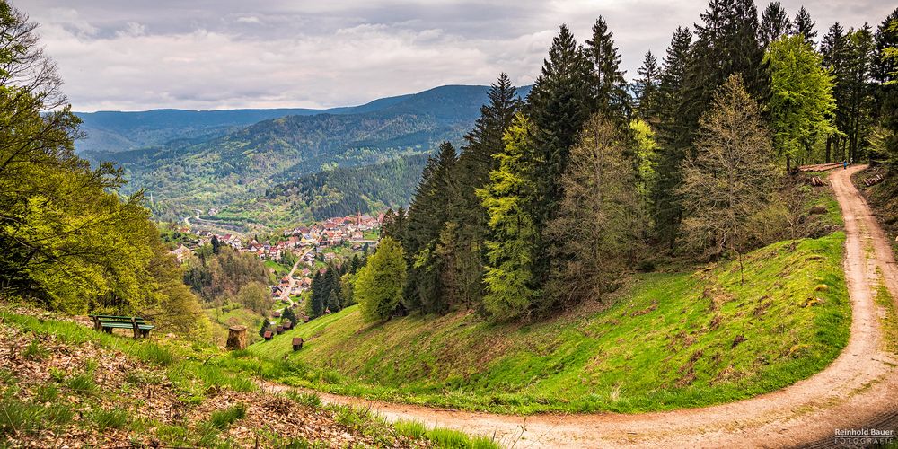 Wo der Schwarzwald fast schon alpin ist