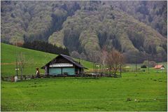 Wo der Wald nach den Häusern greift ...!