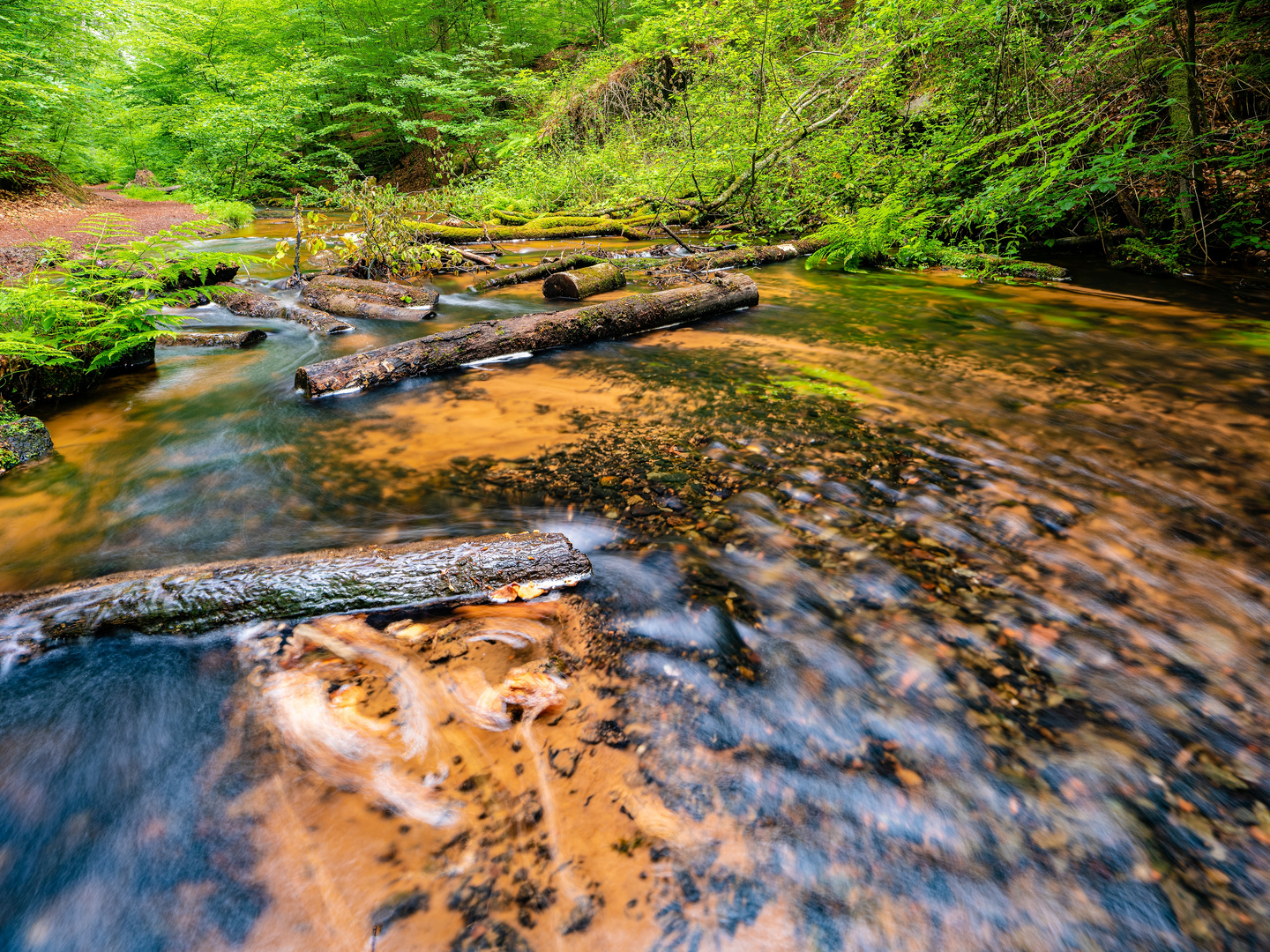 Wo der Waldbach rauscht ....