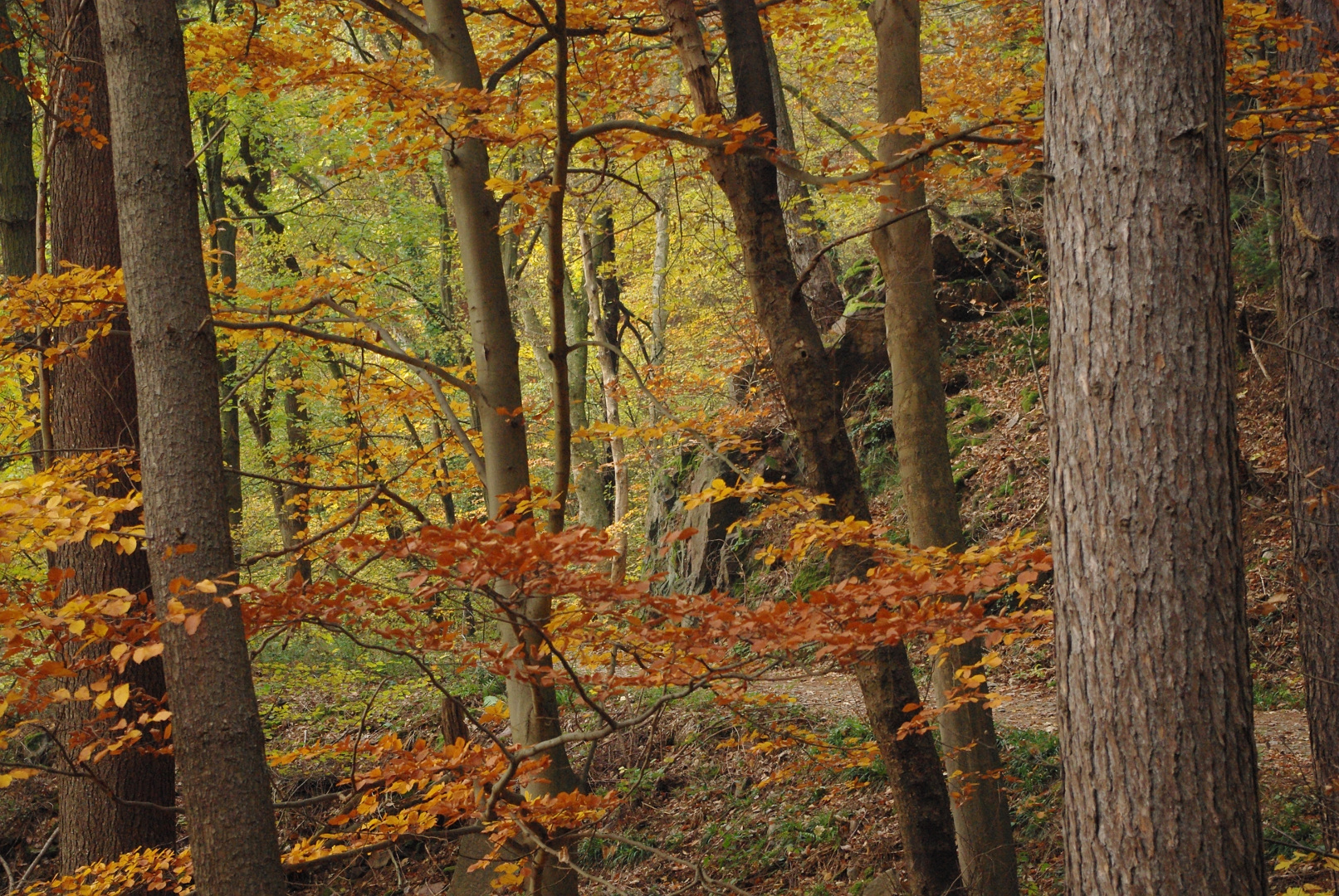 Wo der Weg um die Felsen führt