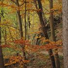 Wo der Weg um die Felsen führt