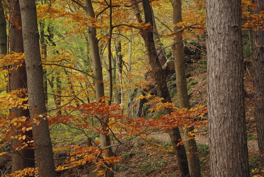 Wo der Weg um die Felsen führt