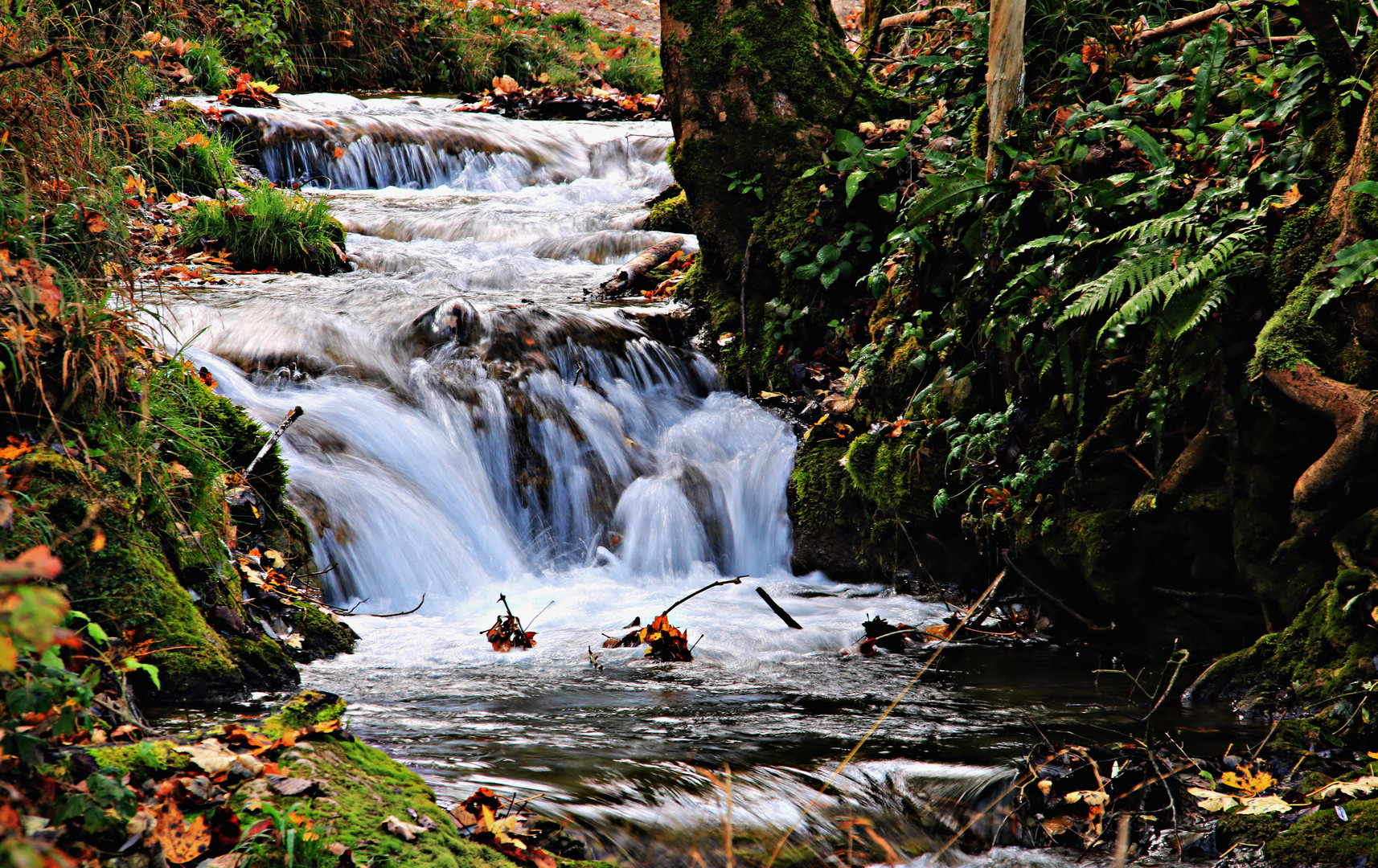 Wo der Wildbach rauscht (2)