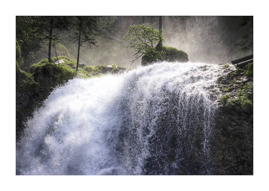 Wo der Wildbach rauscht