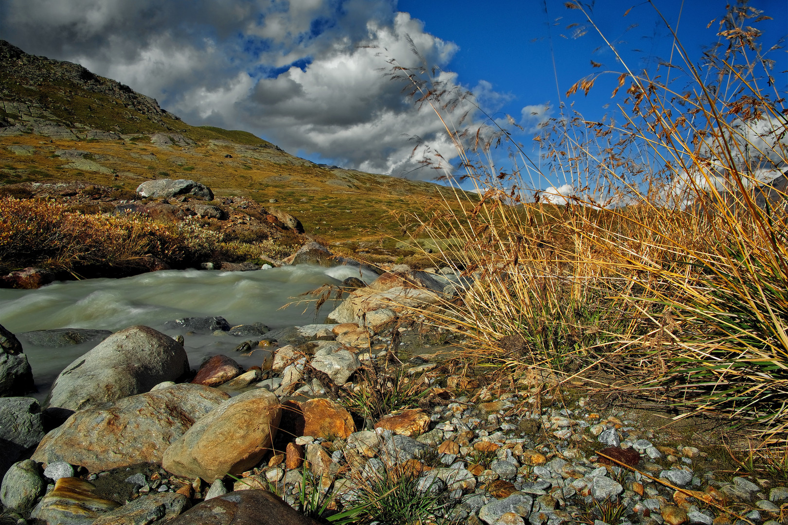 Wo der Wildbach rauscht