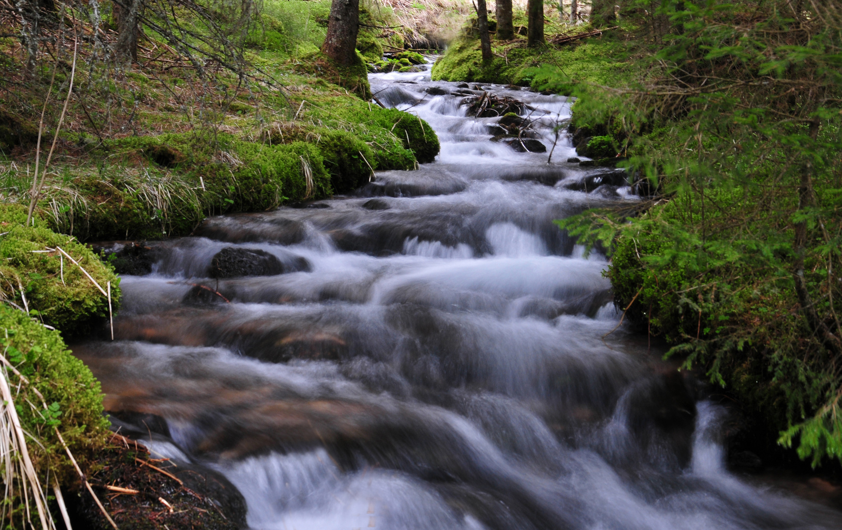 Wo der Wildbach rauscht...