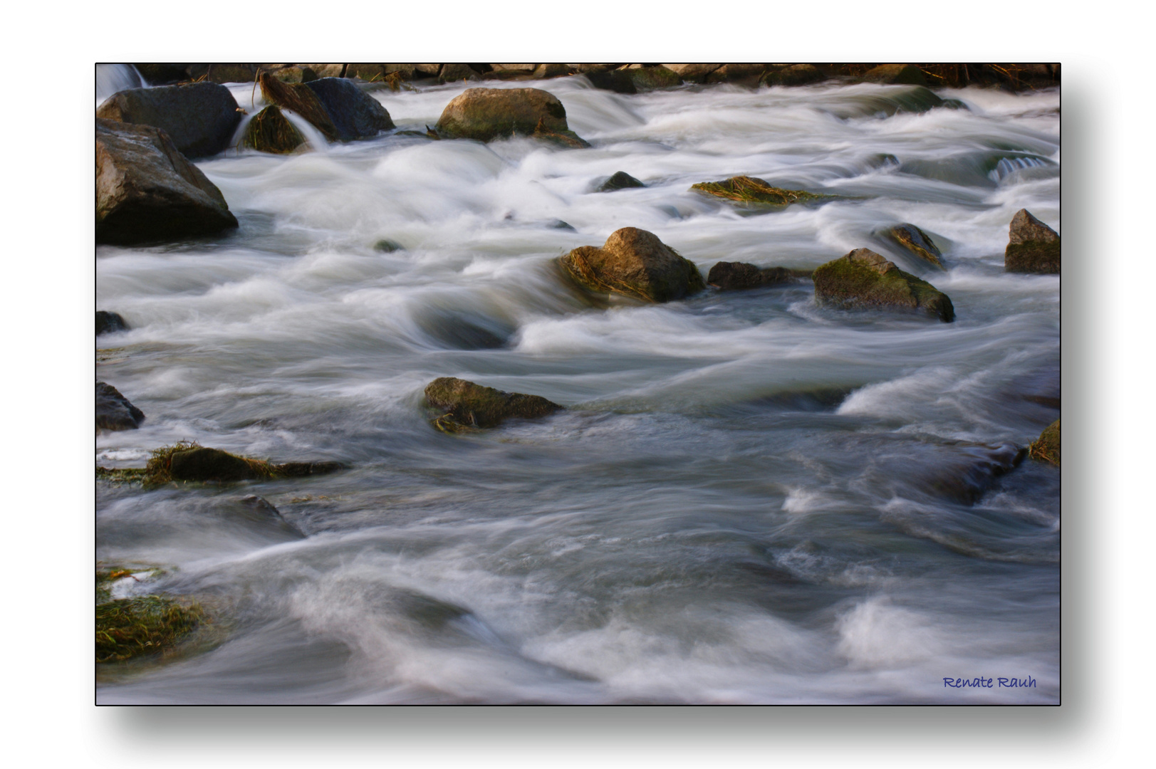 Wo der Wildbach rauscht