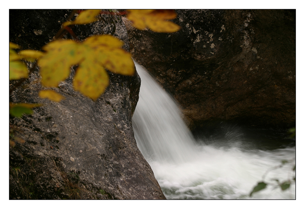 Wo der Wildbach rauscht