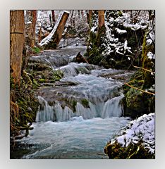 Wo der Wildbach rauscht