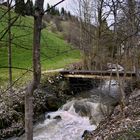 Wo der Wildbach rauscht  -Itter - Tirol  -