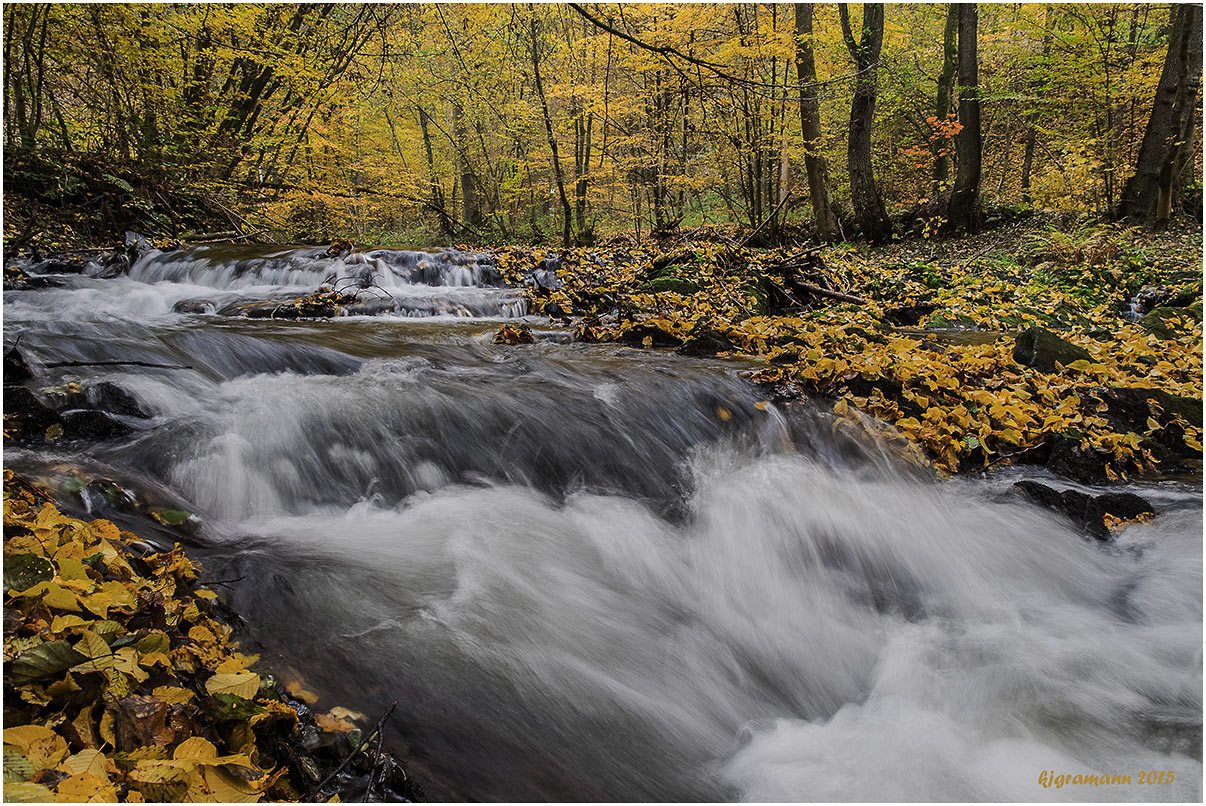 wo der wildbach rauscht XI......