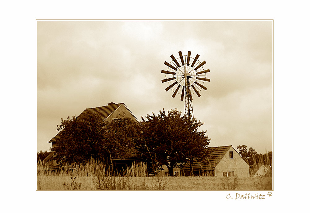 Wo der Wind am liebsten zu Hause ist