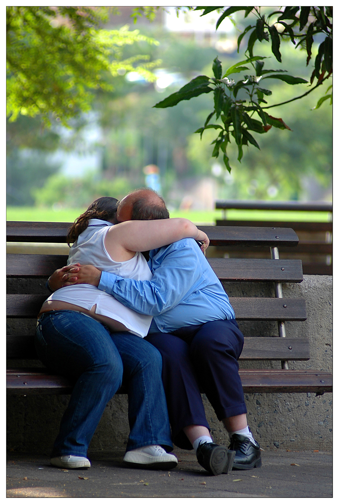 Wo-die-Liebe-hinfällt