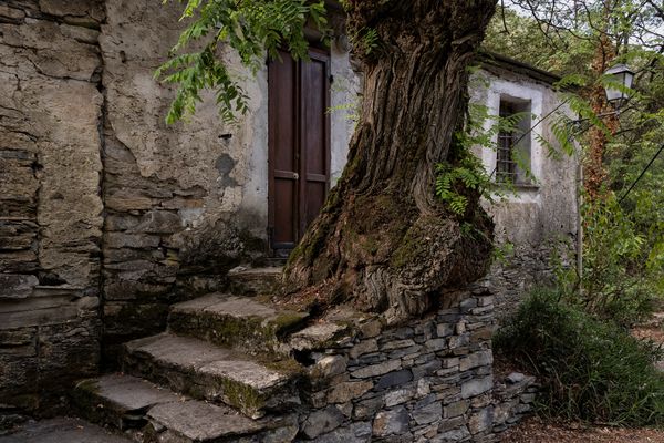 wo die Liebe hinfällt...