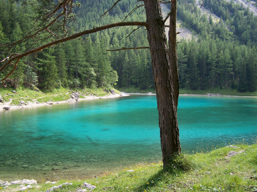 WO DIE NATUR NOCH IN ORDNUNG IST (GRÜNER SEE ÖSTERREICH)