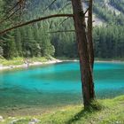 WO DIE NATUR NOCH IN ORDNUNG IST (GRÜNER SEE ÖSTERREICH)