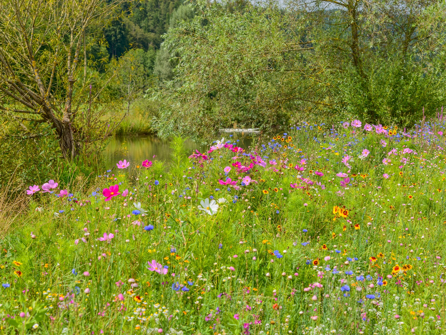 Wo die Natur noch Natur ist