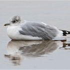 "Wo die Nordseewellen . . ." (1) - "Hier gibt es kein Schlechtwetter, nur . . . 