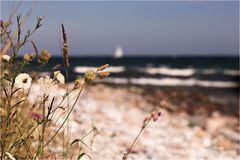 Wo die Ostseewellen trekken an den Strand...