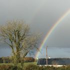 Wo die Regenbogen wachsen