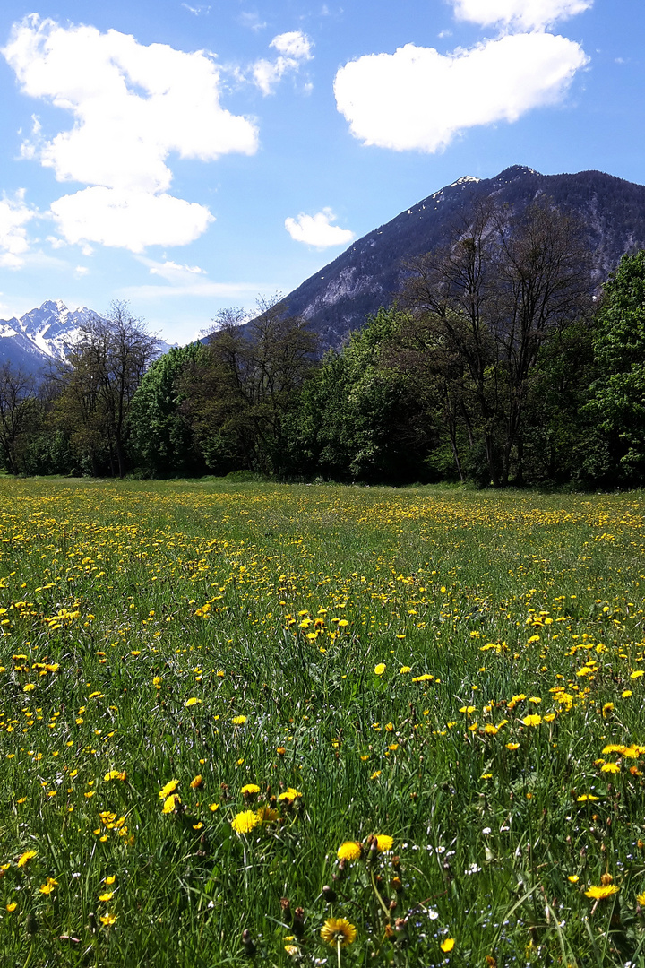 Wo die Welt noch in Ordnung ist / scheint