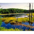 [wo du nicht überall warst] Algonquin Province Park