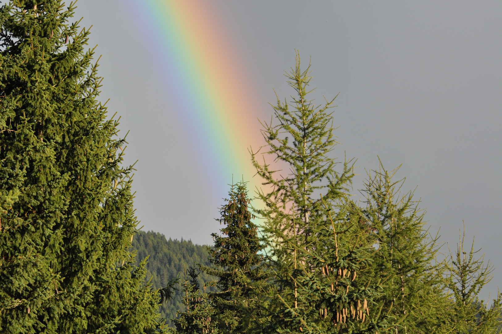 wo ein Regenbogen ist scheint die Sonne