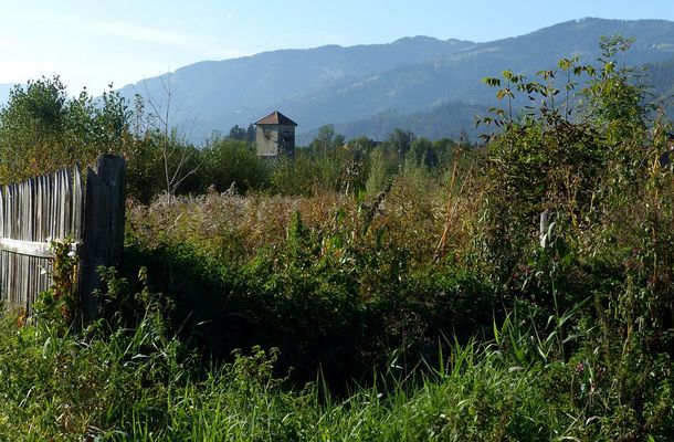 Wo einst blühende Landschaften waren