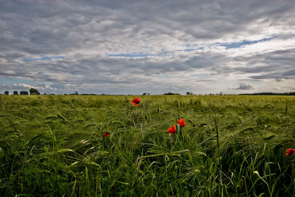 Wo fängt der Himmel an von Basti Voigt 