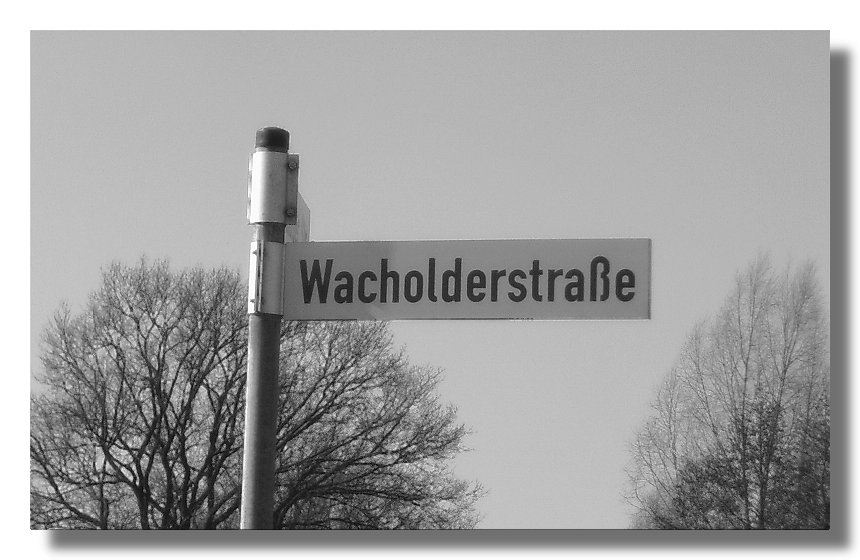 Wo finde ich Wacholder ?