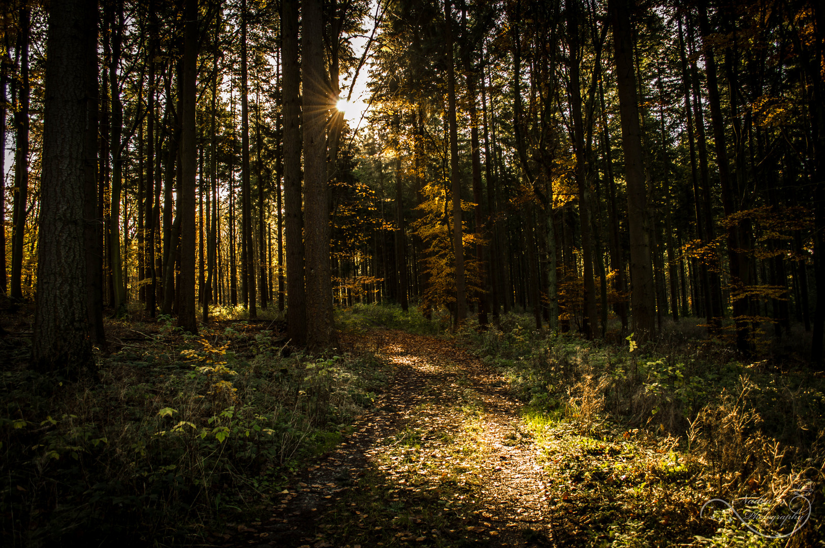 Wo führt der Weg denn hin?