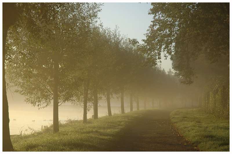 Wo führt der Weg hin?