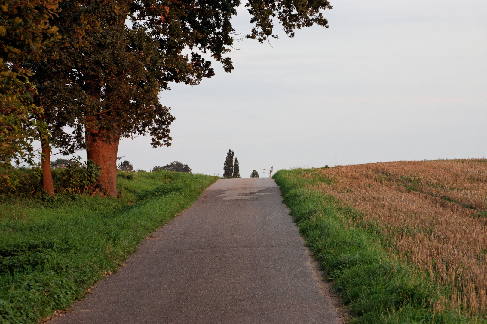 Wo führt der Weg hin?