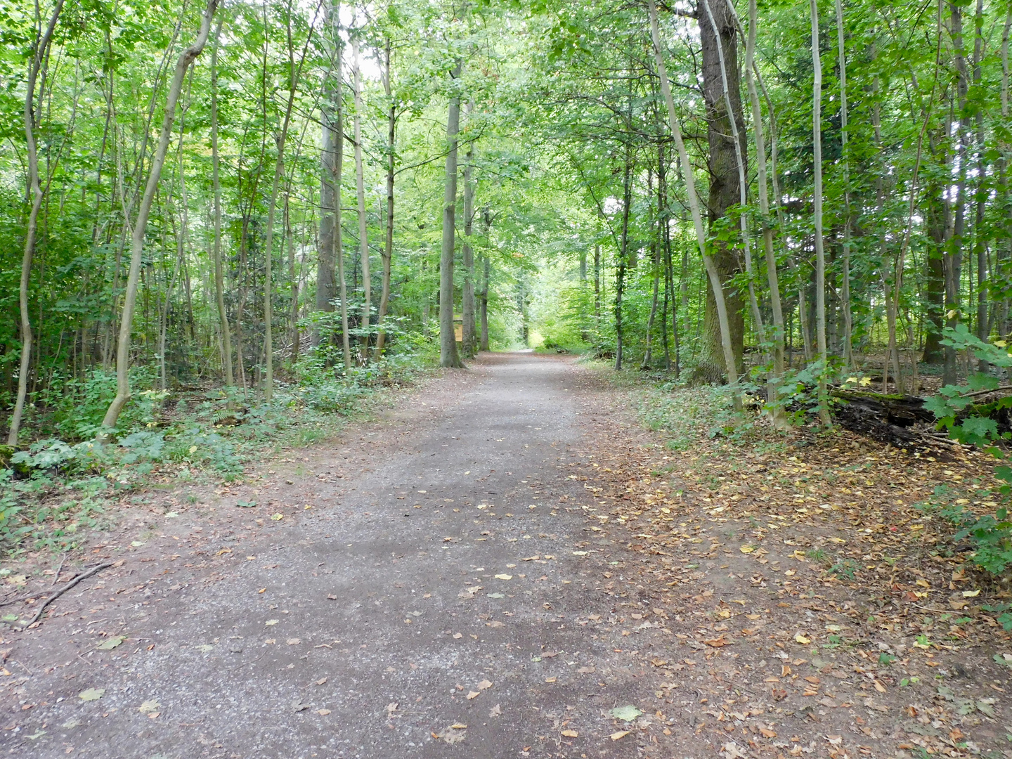 Wo führt der Weg hin ?