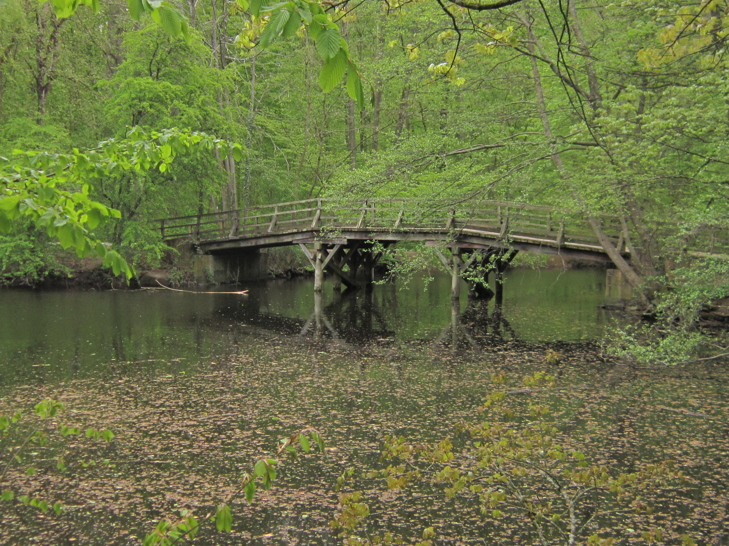 Wo führt die Brücke hin