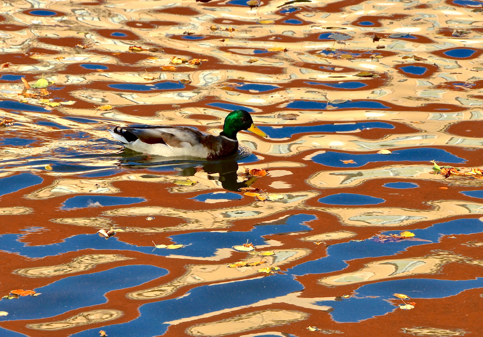 Wo gehst denn hier lang, ich sehe ja gar kein Wasser mehr..