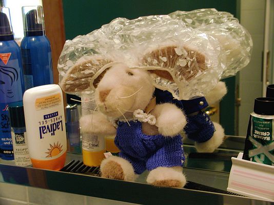 wo geht die reise hin?