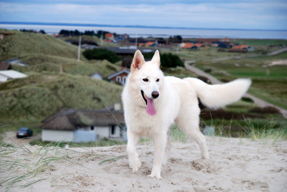 Wo geht es denn zum Strand?